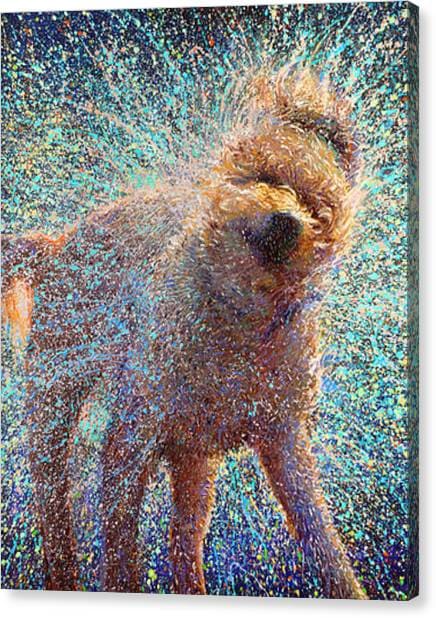 Canis Rufus Canvas Print